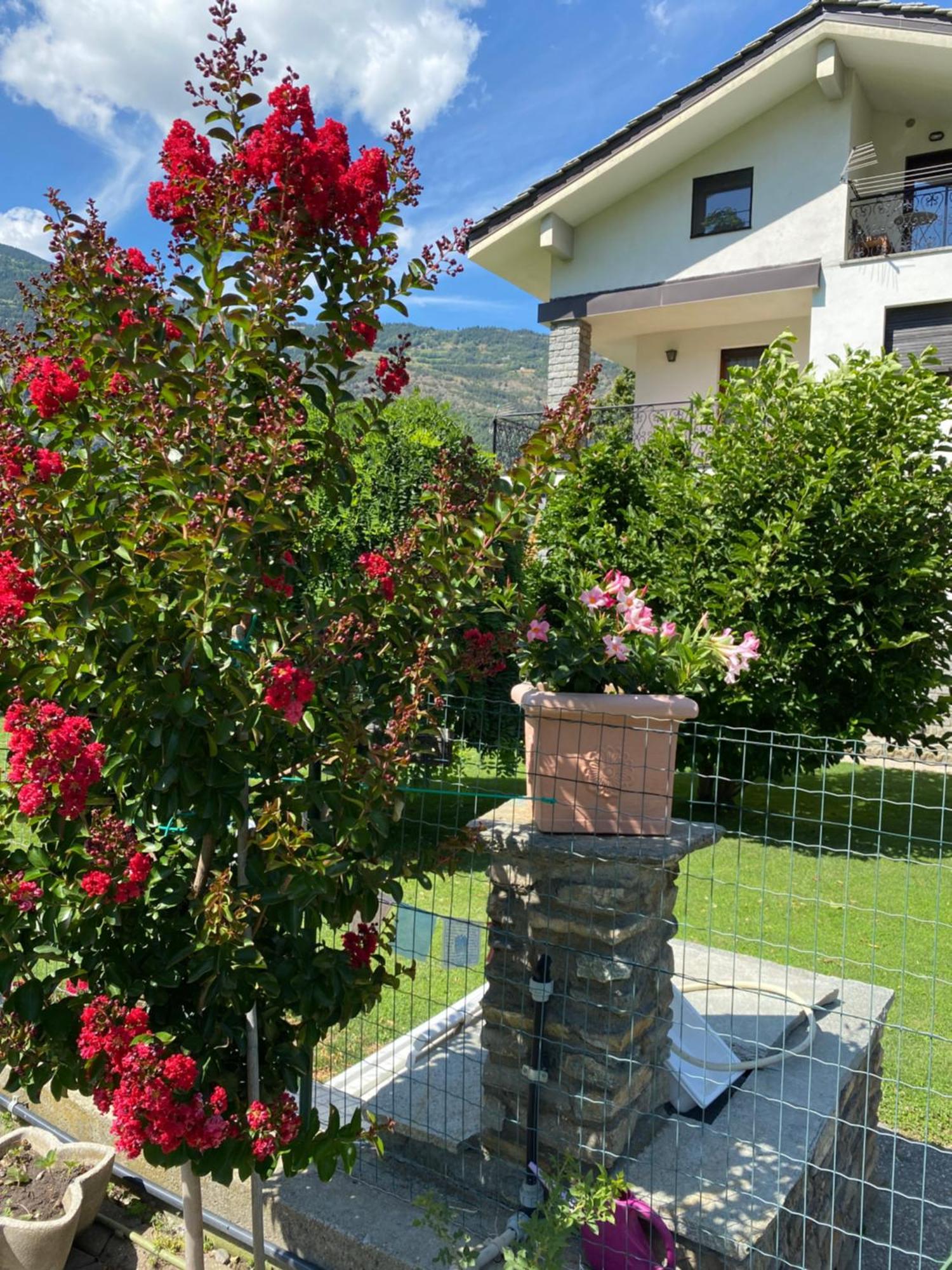 Ferienwohnung Il Tiglio Gressan Aosta Exterior foto